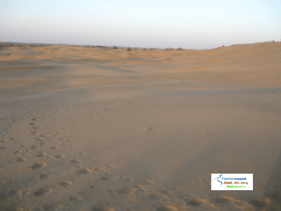 Camel footprints on Sand