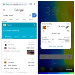 Google Search Cricket
