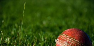 Frequently Asked Questions Cricket You Should Know