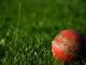 Frequently Asked Questions Cricket You Should Know