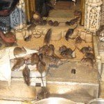 Rats in Karni Temple