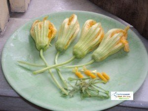 Remove the young leaves from Pumpkin Flowers