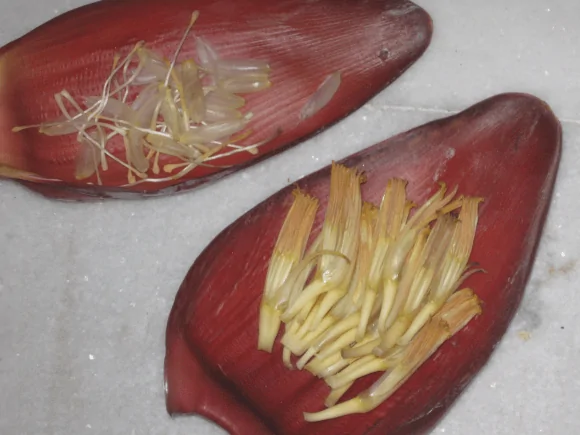 Mochar Ghonto Recipe : Dish made from Banana flower
