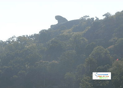 Toad Rock