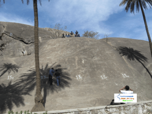 Tracking at Mount Abu