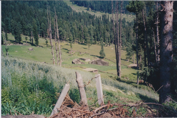 Hiding Place used for hunting